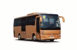 Temsa MD9 IC 2012 года